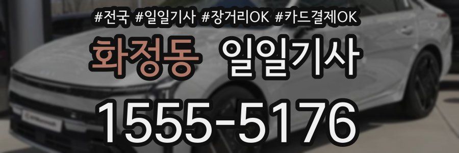 화정동 일일기사