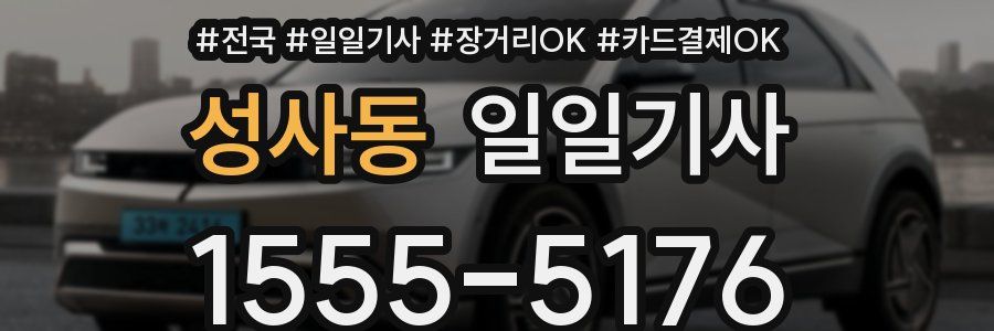 성사동 일일기사