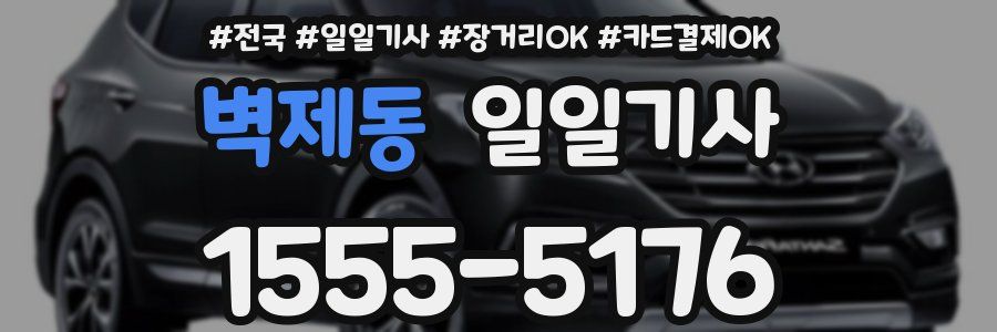 벽제동 일일기사
