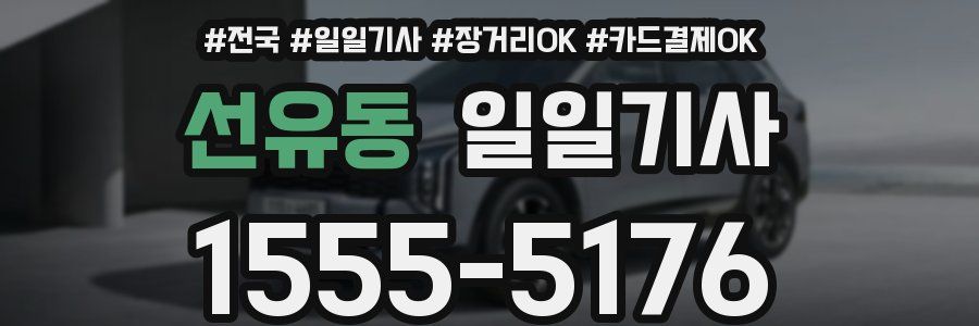 선유동 일일기사