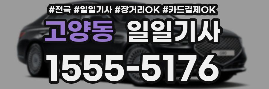고양동 일일기사