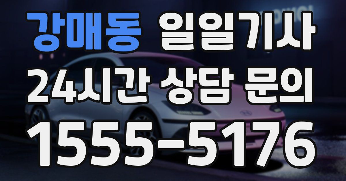 일일대리기사