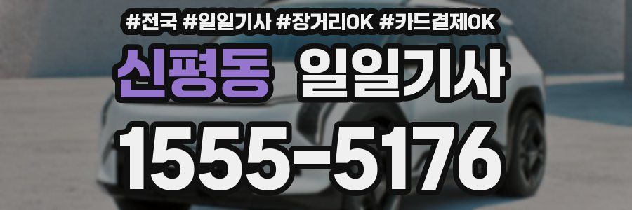 신평동 일일기사