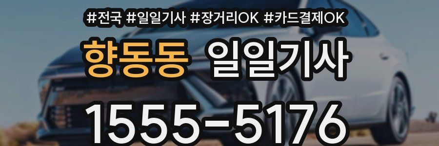 향동동 일일기사