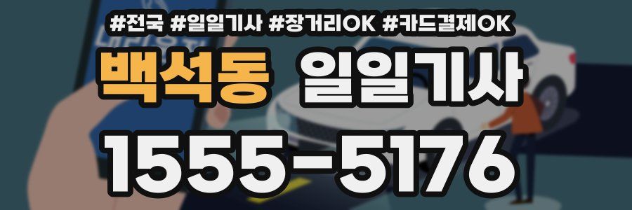 백석동 일일기사