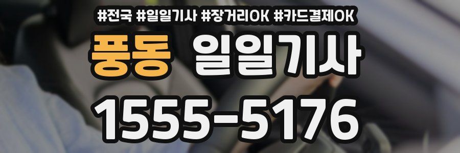 풍동 일일기사