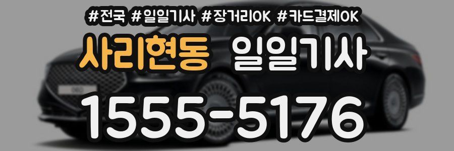 사리현동 일일기사