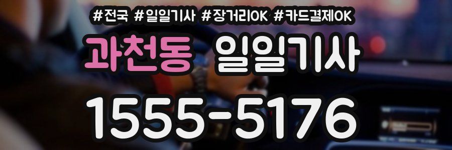 과천동 일일기사