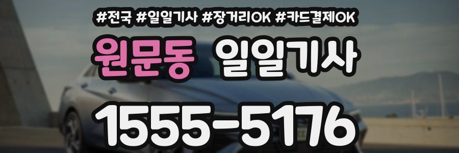 원문동 일일기사