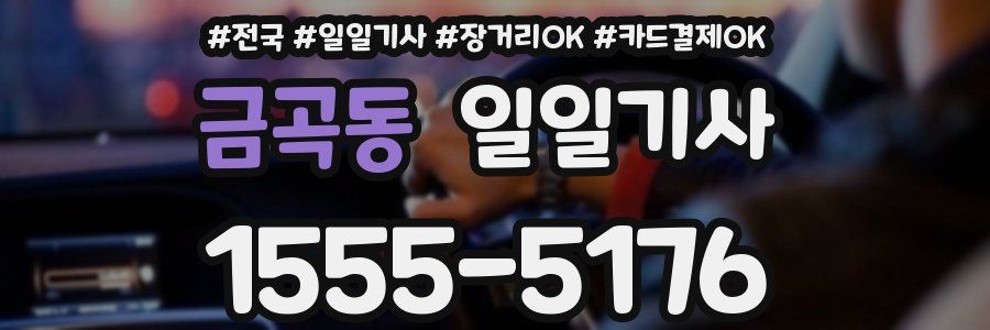 금곡동 일일기사