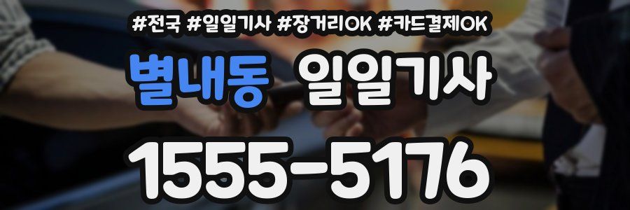 별내동 일일기사