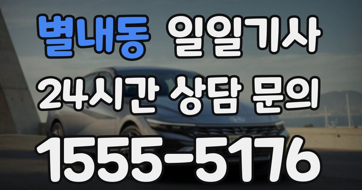 일일대리기사