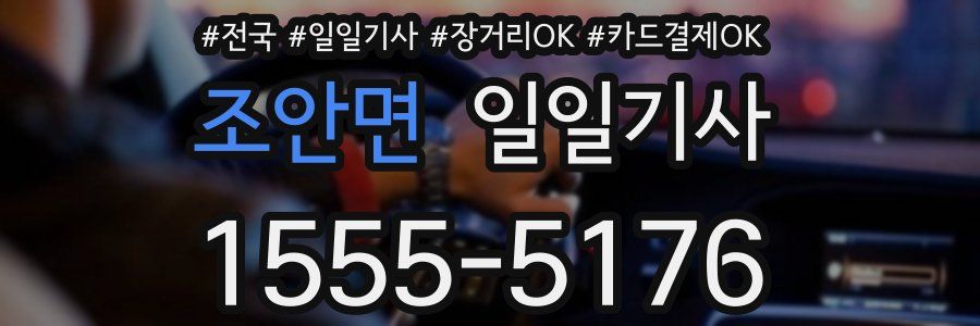 조안면 일일기사