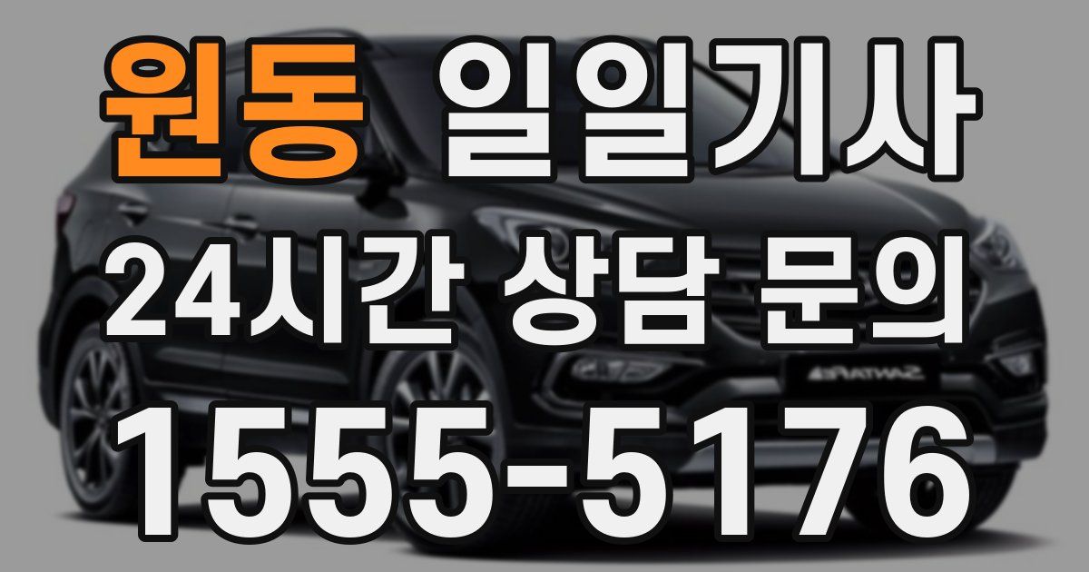 일일대리기사