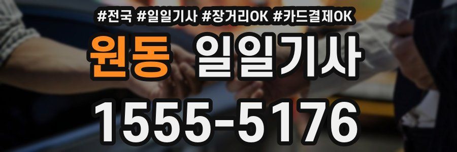 원동 일일기사