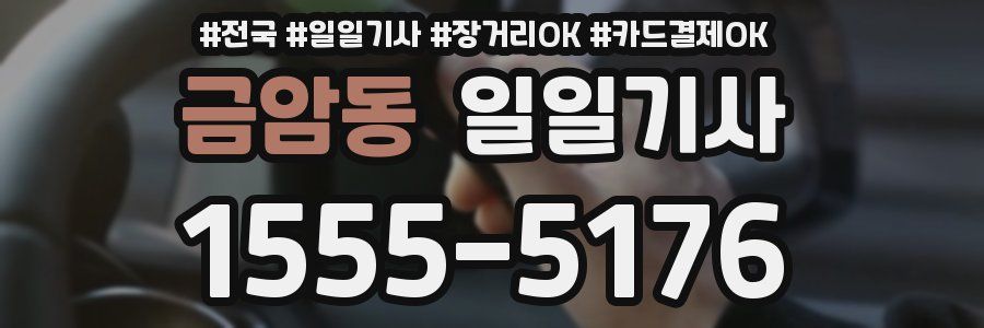 금암동 일일기사