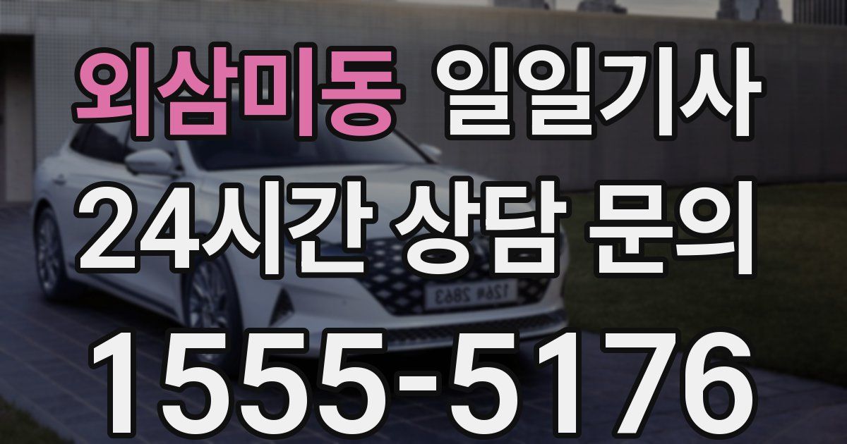 일일대리기사