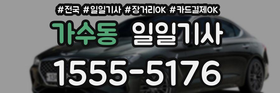 가수동 일일기사