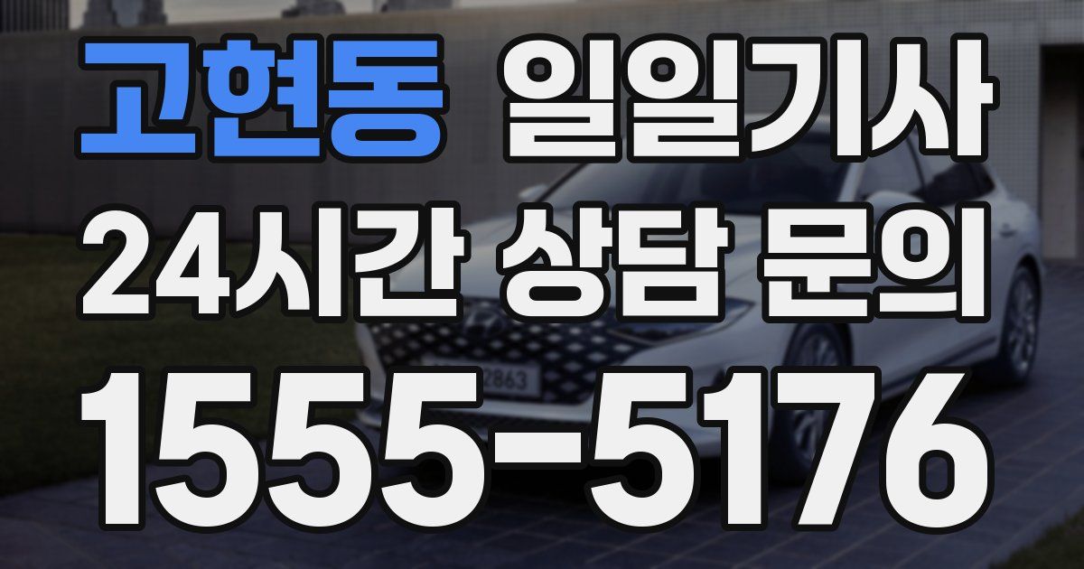 일일대리기사