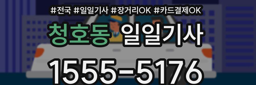 청호동 일일기사