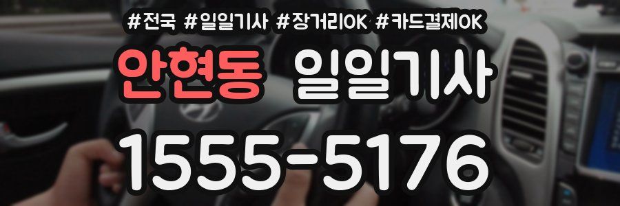 안현동 일일기사