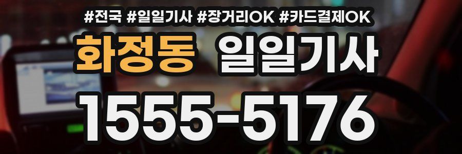 화정동 일일기사