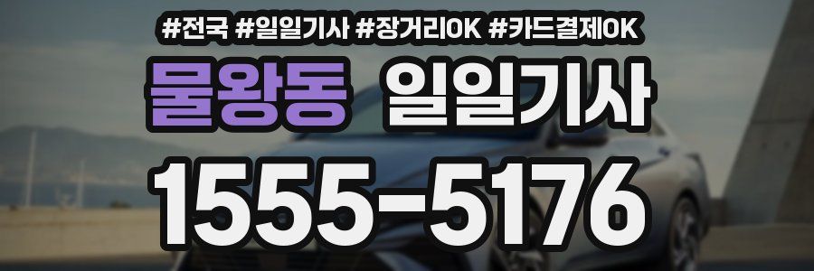 물왕동 일일기사