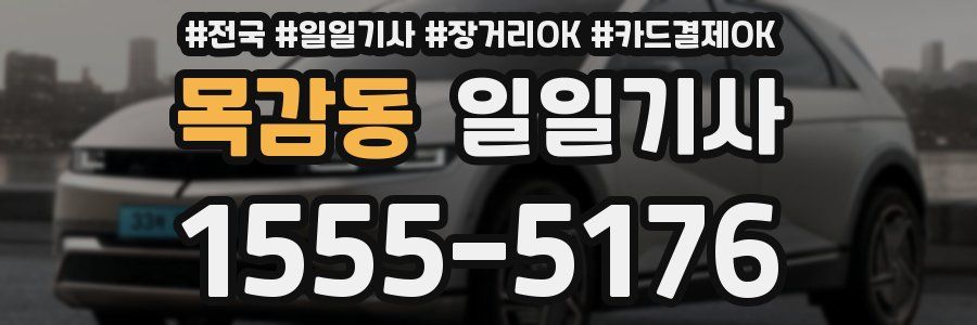 목감동 일일기사