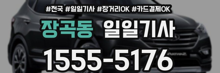 장곡동 일일기사