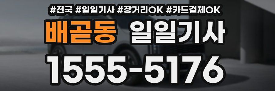 배곧동 일일기사