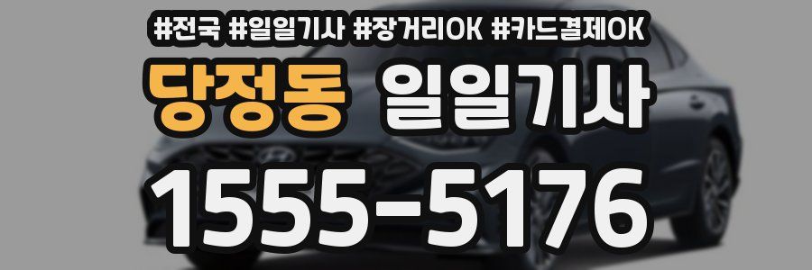 당정동 일일기사