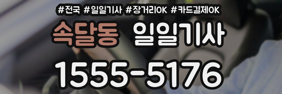속달동 일일기사