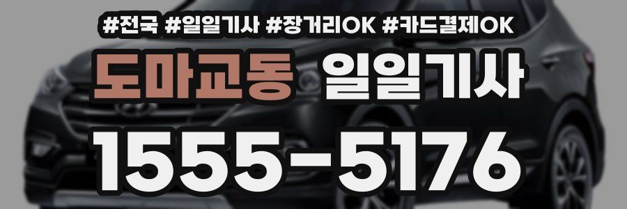 도마교동 일일기사