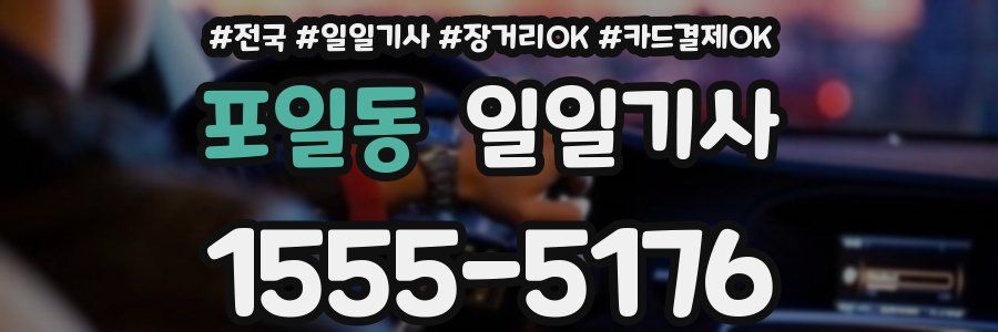 포일동 일일기사