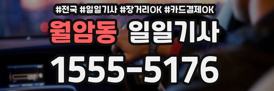 월암동 일일기사