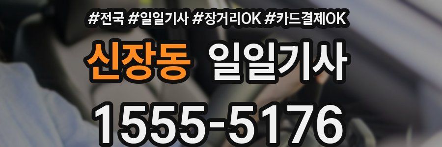 신장동 일일기사