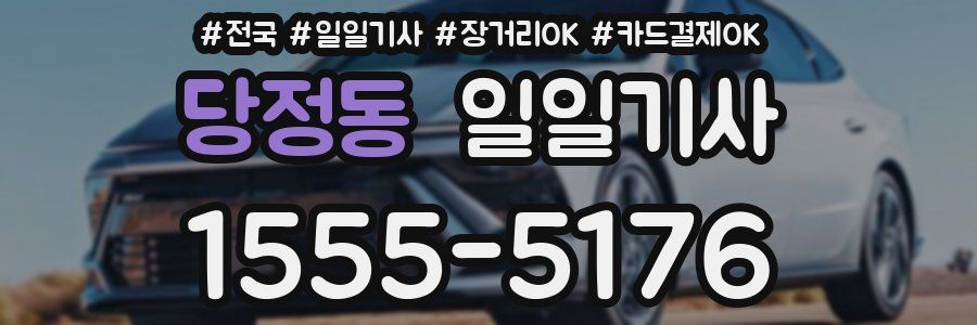 당정동 일일기사