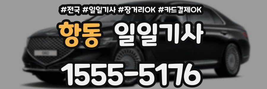 항동 일일기사