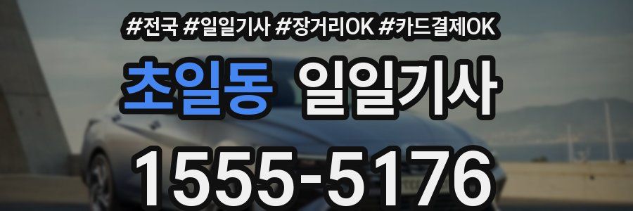 초일동 일일기사