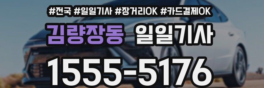 김량장동 일일기사