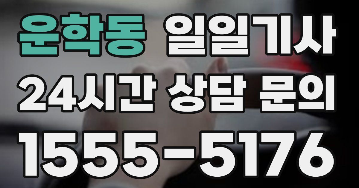 일일대리기사