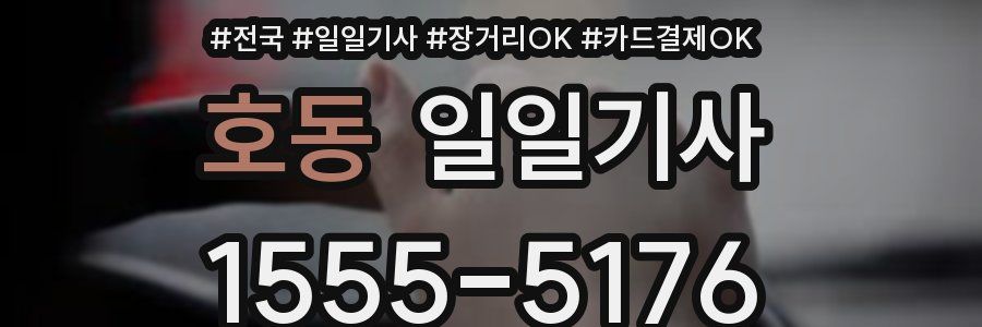 호동 일일기사