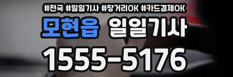 모현읍 일일기사