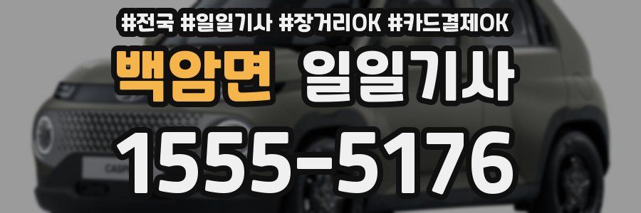 백암면 일일기사