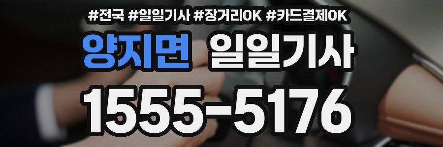 양지면 일일기사