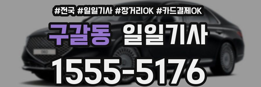 구갈동 일일기사