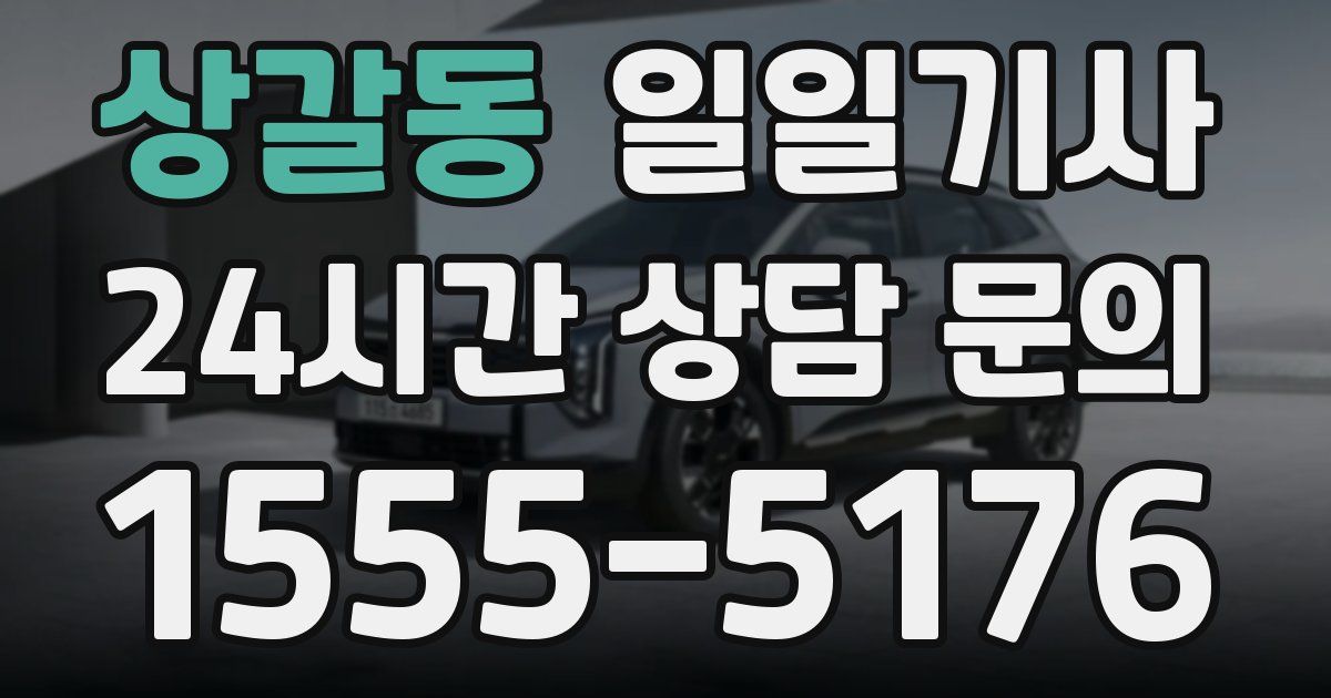일일대리기사