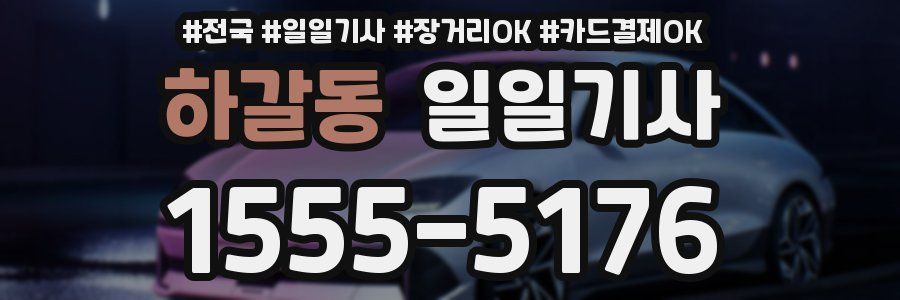 하갈동 일일기사