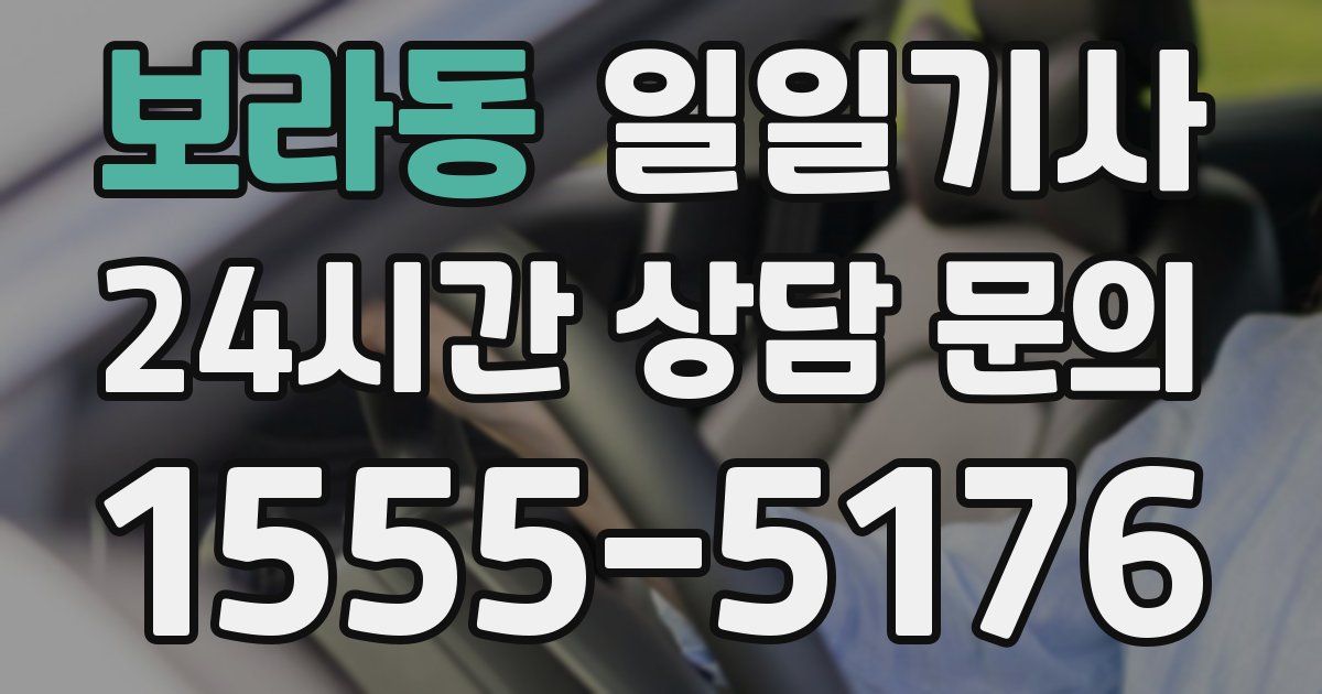 일일대리기사