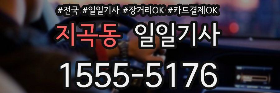 지곡동 일일기사